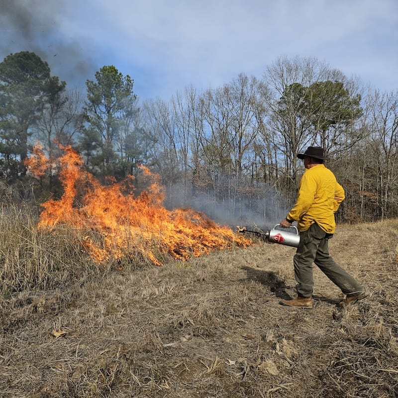 square 20231213_133727